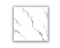  Molly white структура 60x60