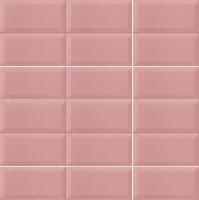 Bissel Pink 10x20