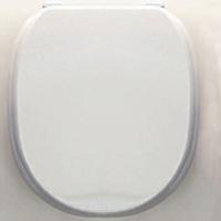 Devon Classica Сиденье для унитаза из MDF, цвет: белый лакированный/петли хром, микролифт (Заказ по запросу!)