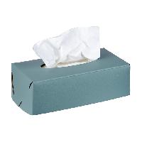 ADJ Салфетница Kleenex, 23x12xH7,5 см., цвет: небесный/эвкалипт