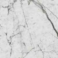 Шарм Эво Статуарио Люкс 60x60