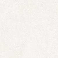 Levels White Matt 20x20