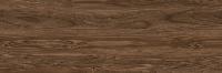 Legno Venezia  Noce 100x300 натуральный