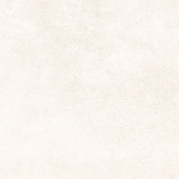  24936 GROUND BONE SF/60X60/C/R 60x60x1 см