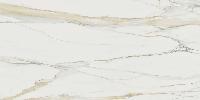 I Classici Di Rex Magnum  Calacatta Gold 60x120 полированный