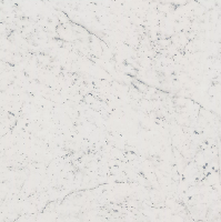   Charme Deluxe Floor Project  Bianco Michelangelo 80x80 люкс