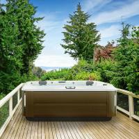 JACUZZI J375 Минибассейн 2310x2310x950 мм., отдельностоящий, Bluewave™ Stereo System, панели Modern hardwood, цвет Platinum (без крышки)