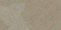Fireclay Beige Stamp Natural 50x100