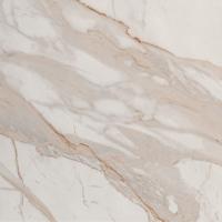 Roma Stone Calacatta Oro Matt 80x80