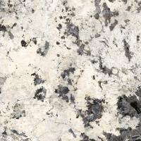  03362 caprice lev rett