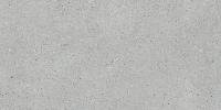Flakecement Серый Матовый R10a 60x120