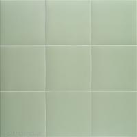 Technical Soft Basil