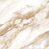 Calacatta Oro 42x42