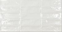  Eco Ceramic Pool White 31,6x60