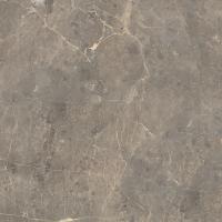 КЕРАМОГРАНИТ 89195 Grigio Imperiale pav. matt