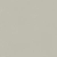 Форум Слим Сильвер 80x80