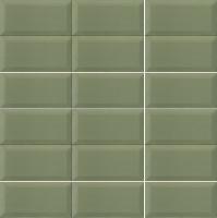 Plus Bissel Green Olive