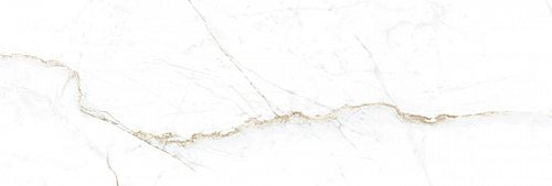 DUAL WHITE SP/33,3X100/R 