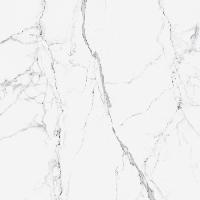 Citymarble Статуарио Венато R9 7лпр 60x60