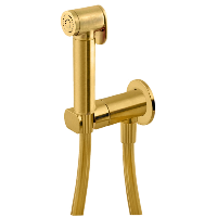 Гигиенический душ со смесителем Remer X Style N64WBG, золото брашированное