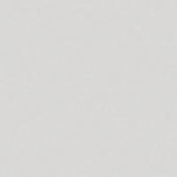 YC04 60x60 Непол.Рект.