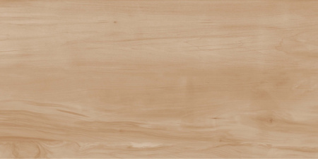  Пэйнт Вуд бежевый матовый 60x120 (1,44) 