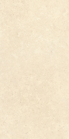   SandStone Песочный МатR10A 60x120 (1,44) 