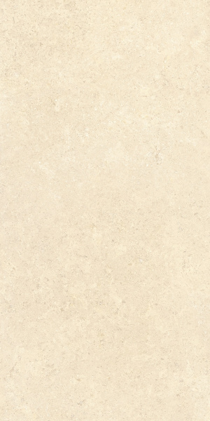   SandStone Песочный МатR10A 60x120 (1,44) 