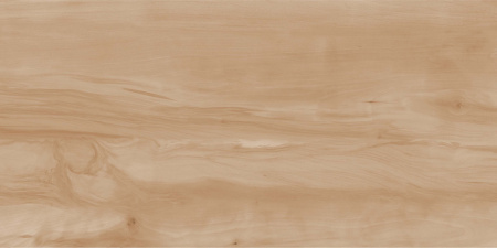  Пэйнт Вуд бежевый матовый 60x120 (1,44) 