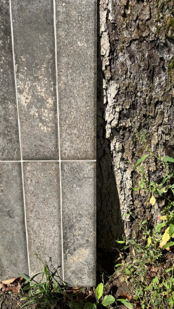   Dream Grey 30x60 (1,08) 