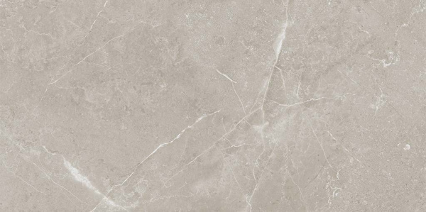 URAL BONE R10 CARVING 60x120x0,9 (1,44м/2шт) 