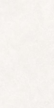  Анголенс белый двойная цифровая печать 60x120 (1,44) 