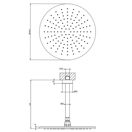 Gessi Emporio Emporio shower Душевая головка потолочная, поворотная с шарниром, с защитой от известкового налёта, цвет: Finox Brushed Nickel 