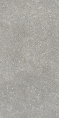   SandStone Серый МатR10A 60x120 (1,44) 