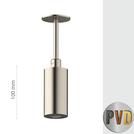 Верхний душ потолочный Daniel Steel SS2A578PELCM10, латунь брашированная PVD 