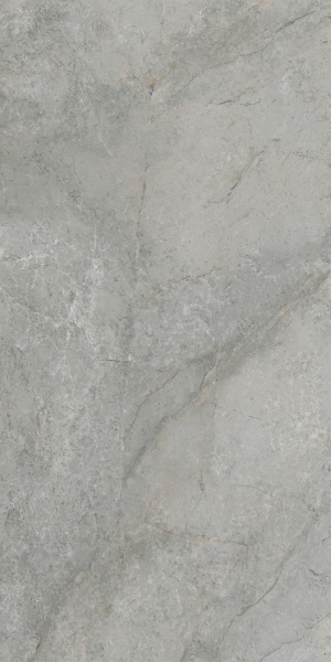 Arcticstone Серый Матовый R10a 60x120 