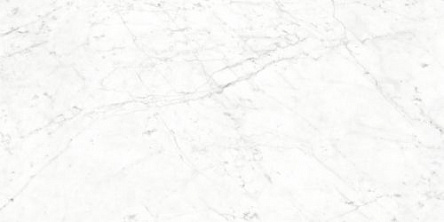 Керамогранит Colori Viva Splendida Carrara Bianco Glossy 60x120