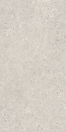 MANHATTAN SILVER AS/60X120/C/R 