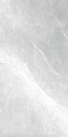  Asti Grey carving 60x120 