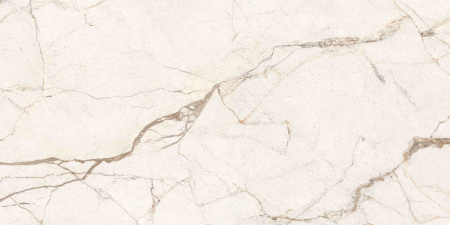 Сильверрут Слоновая Кость Матовый R10a 60x120 