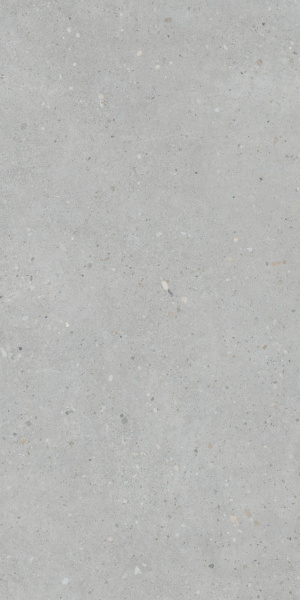   FlakeCement Серый МатR10A 60x120 