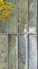   Dream Green 30x60 (1,08) 