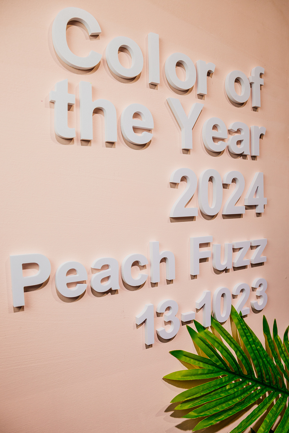 Вдохновляющая встреча с Дианой Балашовой