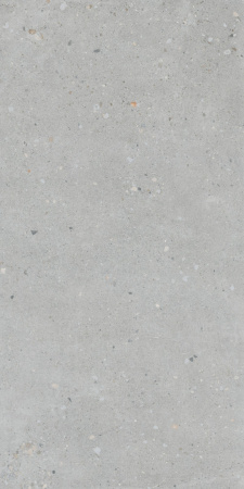   FlakeCement Серый МатR10A 60x120 (1,44) 