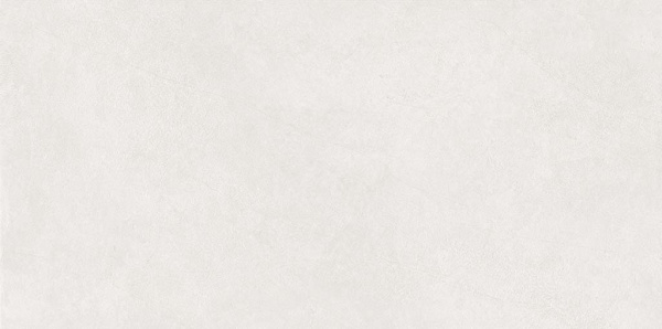 ASTER DEW FULLBODY CARVING 60x120x0,9 (1,44м/2шт) 