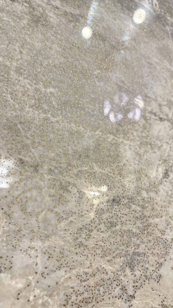  Манила полированный золотой карвинг 60x120 (1,44) 