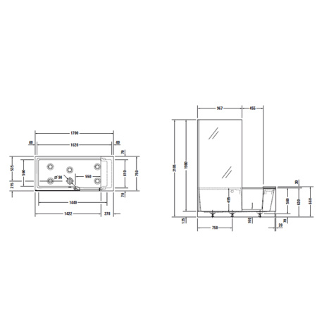 DURAVIT Shower + Bath Bathtub Ванна 1700х750хh2105 мм, с входной дверью и душевой шторкой, SX - левосторонняя, цвет: белый (без слива-перелива) 