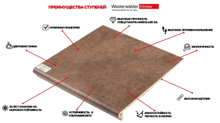 Ступень Westerwalder Atrium Mittelgrau Florentiner-Stufe 31x32 