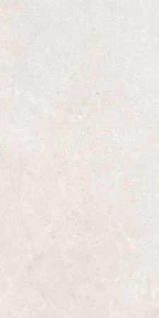   SandStone Белый МатR10A 60x120 (1,44) 