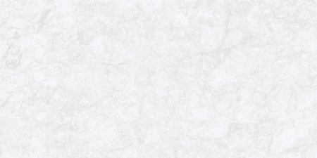  Шарлотта жемчужный устойчивый к царапинам 80x160 (2,56) 